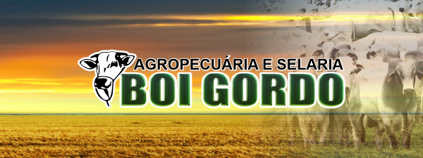 Agropecuária e Selaria Boi Gordo