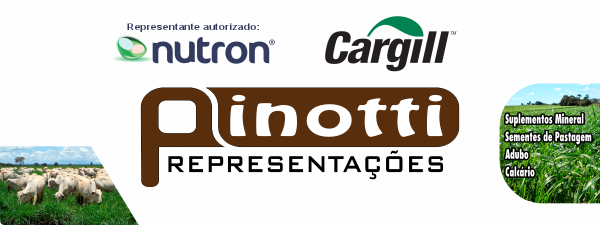 Pinotti Representações